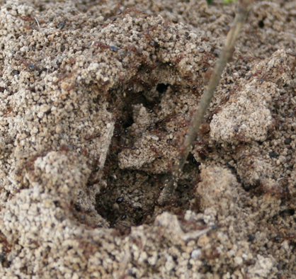 Figure 3png